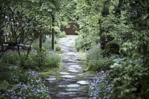 黒川温泉　旅館　奥の湯